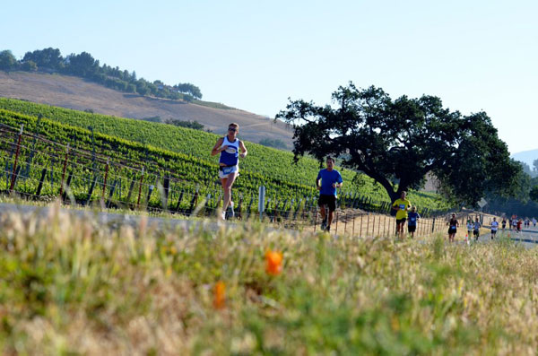 Santa Barbara Wine Country Half Marathon